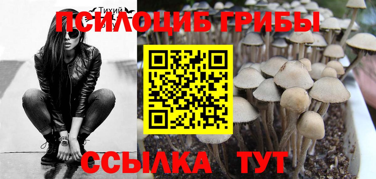 Псилоцибиновые грибы прущие грибы Каменск-Шахтинский